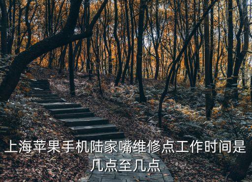 上海蘋果手機陸家嘴維修點工作時間是幾點至幾點