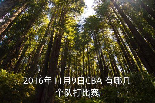 廣州對戰江蘇福建隊，20101231 1930 廣東 VS 福建 在中山那個體育館打最低門票價是多