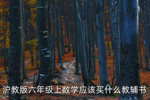 滬教版六年級上數(shù)學應該買什么教輔書