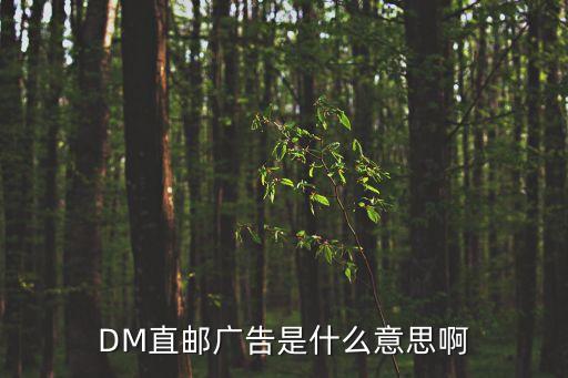 直郵廣告，DM直郵廣告是什么意思啊