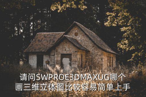 請問SWPROE3DMAXUG哪個(gè)畫三維立體圖比較容易簡單上手