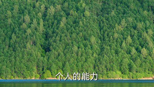 個人的能力