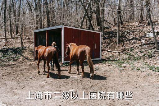 上海市三乙醫院數量，上海醫院大全