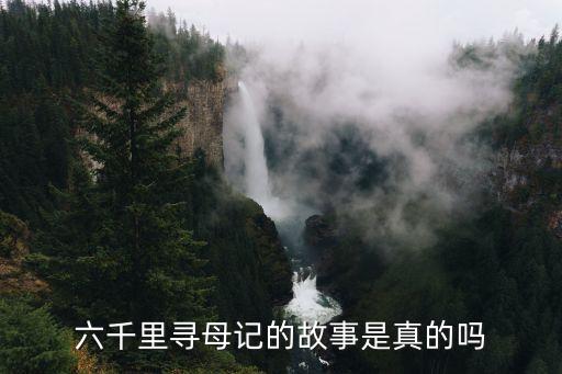 馬爾可，馬可是利威爾班成員嗎