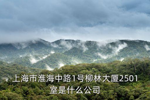 上海市隧建物資有限公司，上海市靜安區延平路98號A棟5樓是什么公司