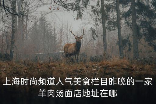上海時(shí)尚頻道人氣美食欄目昨晚的一家羊肉湯面店地址在哪