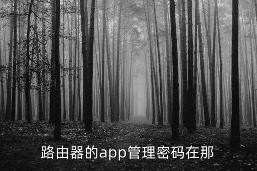 路由器的app管理密碼在那