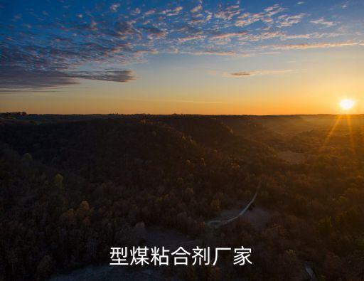 工業型煤粘合劑上海市，型煤粘合劑哪家好