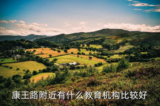 學而思廣州康王路分校，康王路附近有什么教育機構比較好