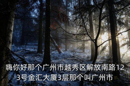 嗨你好那個廣州市越秀區解放南路123號金匯大廈3層那個叫廣州市