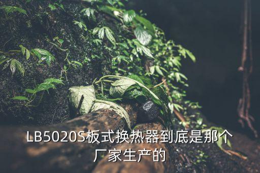 LB5020S板式換熱器到底是那個廠家生產的