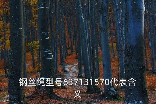 鋼絲繩型號637131570代表含義