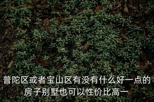 普陀區或者寶山區有沒有什么好一點的房子別墅也可以性價比高一