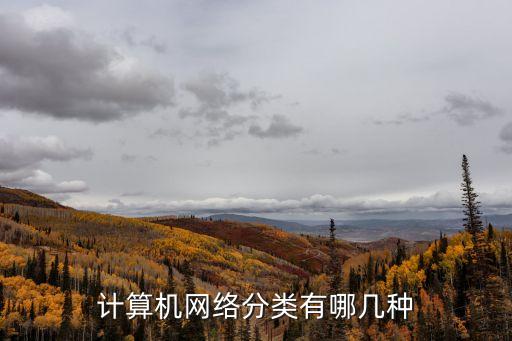 計算機(jī)網(wǎng)絡(luò)分類有哪幾種