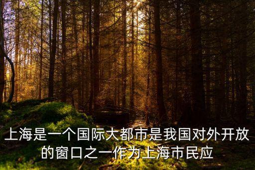 上海是一個國際大都市是我國對外開放的窗口之一作為上海市民應