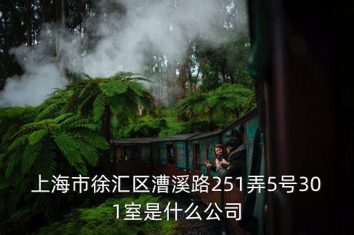 上海市豐鳴，上海市浦東路棲山路129號6樓618室是什么公司