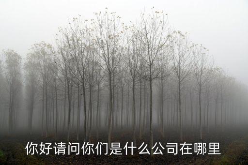 你好請問你們是什么公司在哪里