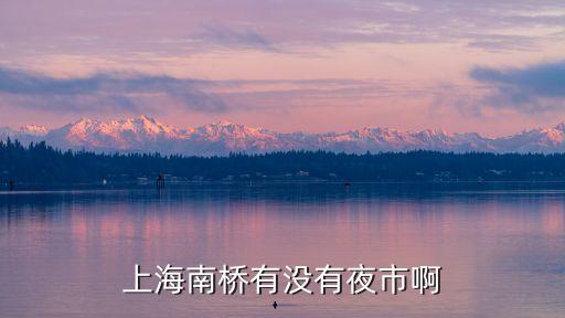 上海南橋有沒有夜市啊