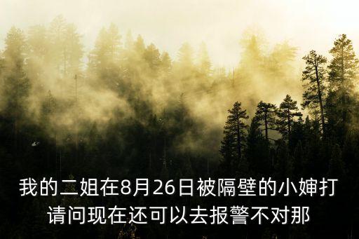 隔壁的小姨子，我的二姐在8月26日被隔壁的小嬸打請問現在還可以去報警不對那