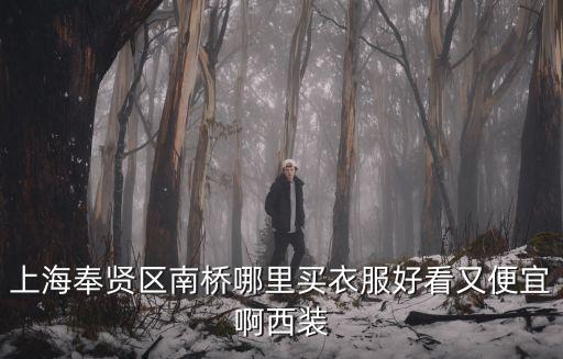 上海奉賢區南橋哪里買衣服好看又便宜啊西裝