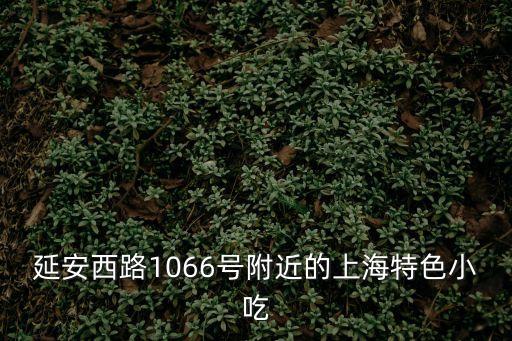 延安西路1066號附近的上海特色小吃