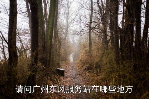 請問廣州東風服務站在哪些地方