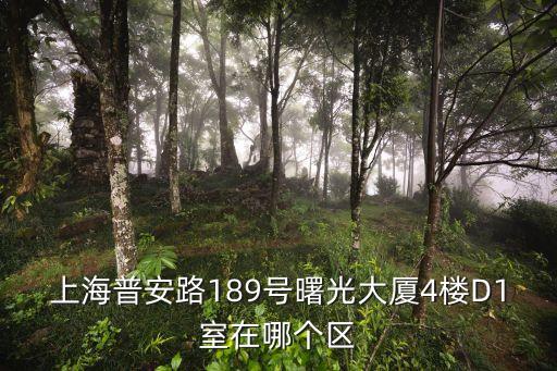 上海市豐盛里d1樓，上海市浦東新區(qū)芳華路916弄是什么小區(qū)
