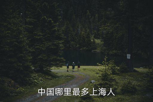 中國哪里最多上海人
