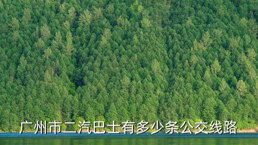 廣州市二汽巴士有多少條公交線路