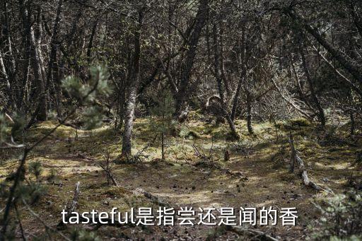 tasteful，tasty 與tasteful的區(qū)別