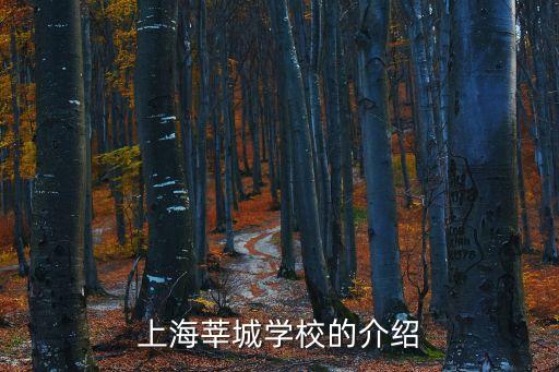 上海莘城學校的介紹