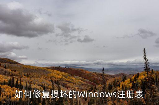 如何修復損壞的Windows注冊表