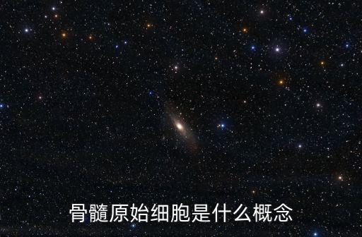 骨髓原始細胞是什么概念