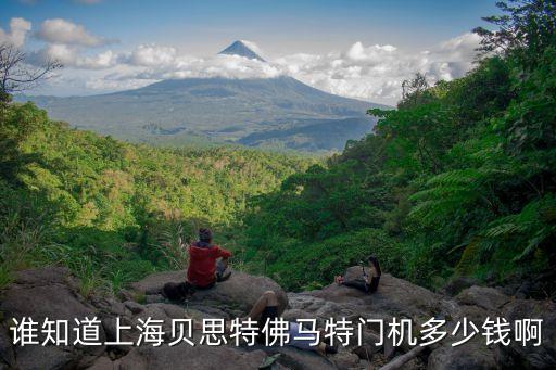 上海市手動潔凈門廠家價格，上海木質門廠的價格