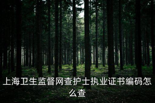上海衛生監督網查護士執業證書編碼怎么查