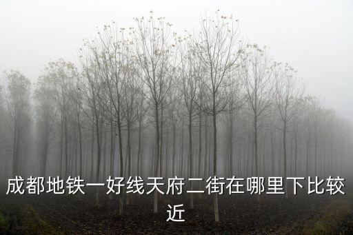 成都地鐵一好線天府二街在哪里下比較近