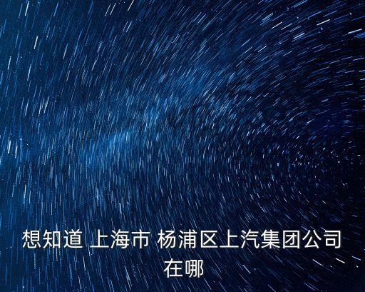 上海市楊浦區軍工路58號，上海市楊浦區軍工路58號是哪里