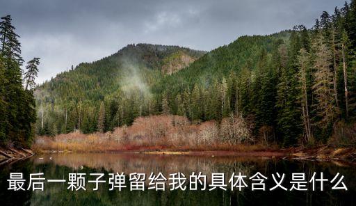 最后一顆子彈留給我的具體含義是什么