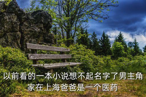 以前看的一本小說想不起名字了男主角家在上海爸爸是一個醫藥