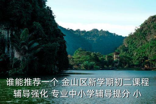 上海市金山區特色教研組，誰能推薦一個 金山區新學期初二課程輔導強化 專業中小學輔導提分 小
