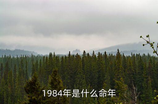 84年什么命，1984年出生的是什么命