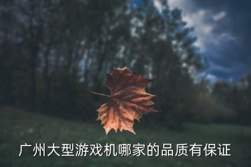 廣州游戲機質量排行榜，廣州游戲機廠家哪家的比較好