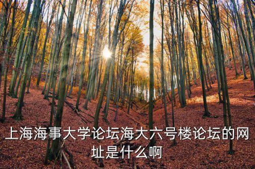 上海海事大學論壇海大六號樓論壇的網址是什么啊