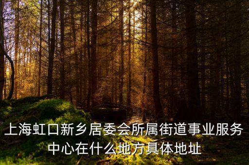 上海虹口新鄉居委會所屬街道事業服務中心在什么地方具體地址