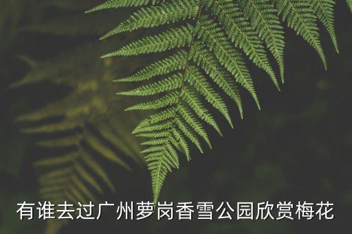 有誰去過廣州蘿崗香雪公園欣賞梅花