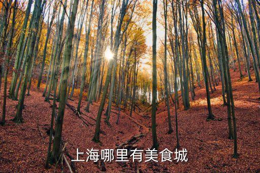 上海哪里有美食城