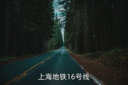 上海地鐵16號(hào)線