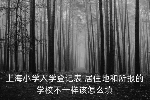 美寶填上海市小學入學登記表，如何填入學登記表