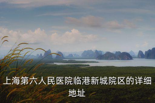 上海市第六人民醫(yī)院對面小區(qū)，上海市第六人民醫(yī)院 臨港新城院區(qū)周邊較近的住宅區(qū)有哪些