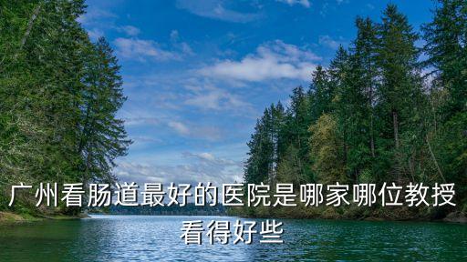 廣州看腸道最好的醫院是哪家哪位教授看得好些
